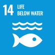Pick a coding project that uses coding to explore topics key to Life Below Water