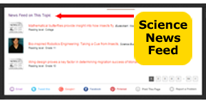 News feed