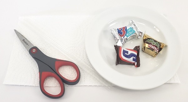 Materials for candy core sample activity