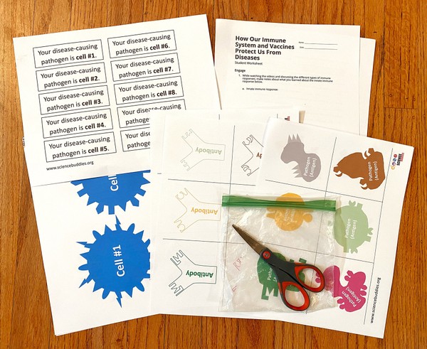 Materials needed for the ' Immune System and Vaccines Protect Us From Diseases'  lesson plan.