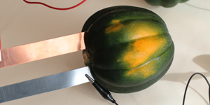 Veggie Power with squash / Electronics activity and science experiment kit