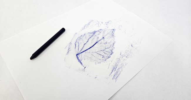 In the completed rubbing, crayon markings are darkest where the leaf's surface was raised, resulting in an image of the leaf's veins.