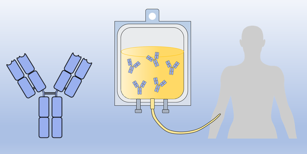 Drawings of a y-shaped antibody and an infusion bag containing antibodies.