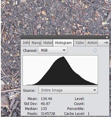 Distribution of average light intensity for a picture of dirt