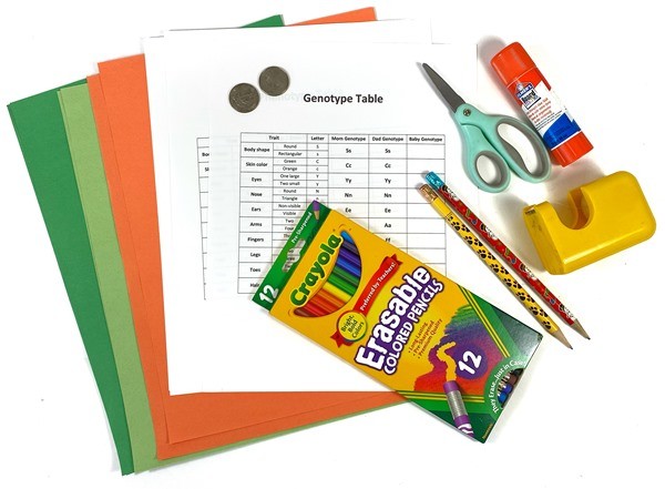 Materials needed for the activity 'Investigate Alien Genetics'