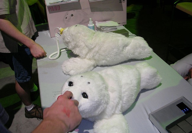 Two furry robots seals sit on a table as part of a demonstration. 