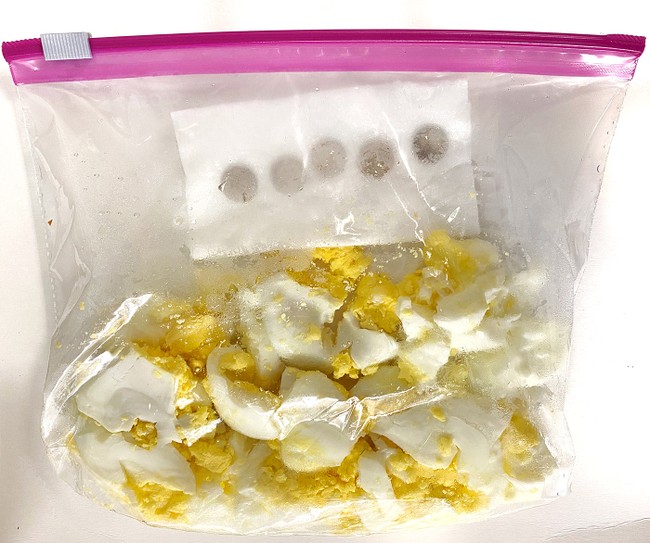 A resealable plastic bag contains three mashed eggs. Next to the eggs, 5 silver rounds sit on a piece of paper towel. 