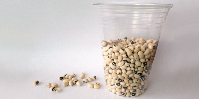 A clear cup half full of white beans