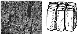 A photo and drawing of prismatic soil structure