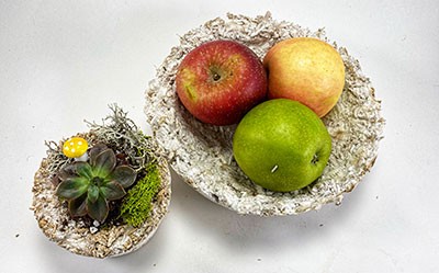 A small flower pot and a fruit bowl made from mushroom material