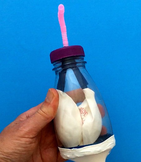 Picture of a respiratory system model made where a plastic bottle represents the ribcage, a straw is used as windpipe, and balloons represent the lungs.