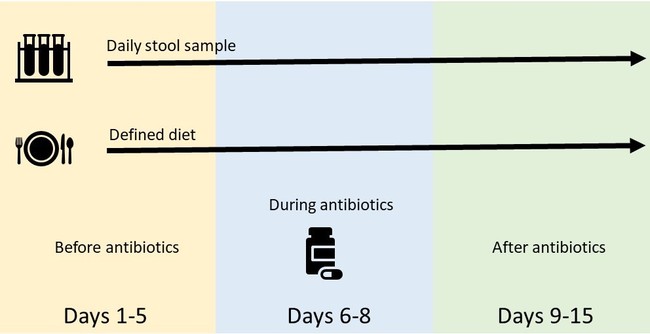 experimental design used to collect microbiome data from healthy adults diagram 