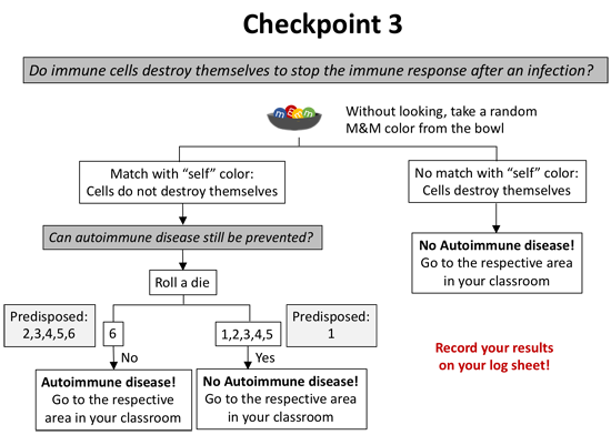 The third and final checkpoint in the autoimmune disease activity
