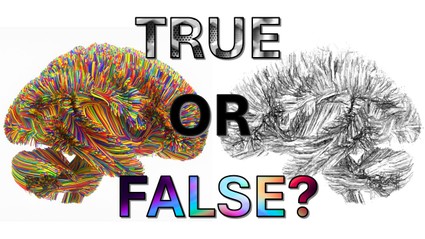 Image of fMRI images with test true or false. 