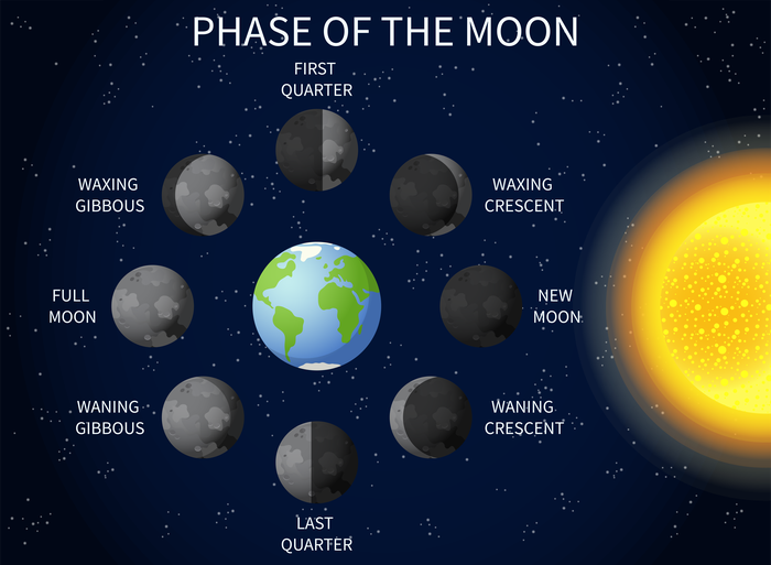 A diagram showing the moon in each position around Earth, including the position of the Sun and the corresponding moon phase.