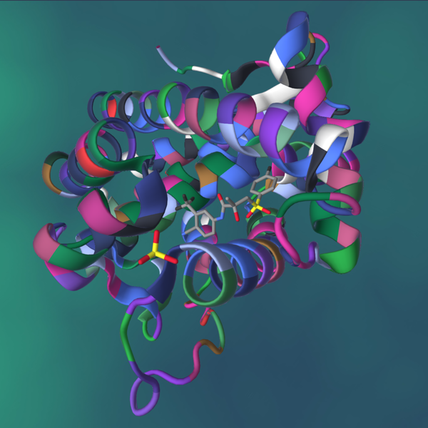 W741L AR LBD and R-bicalutamide complex Protein simulation