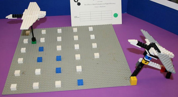 Two birds made of LEGOs are attached to a LEGO ground, one bird is fixed while the other is attached to a lever