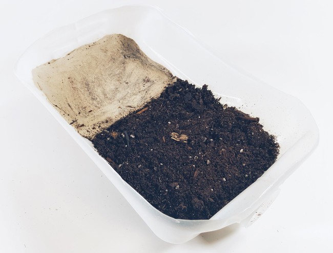 A cut-open gallon jug. One-third of the container has a clay layer, the two-thirds close to the spout have a layer of potting soil.