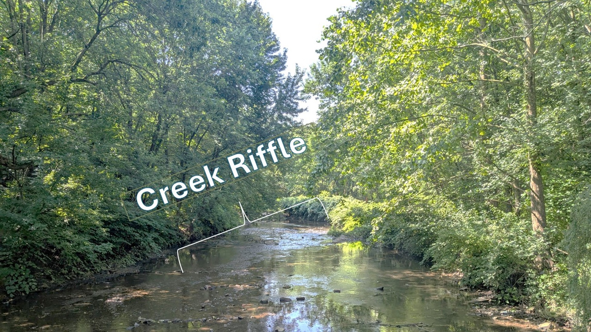 Biodiversity of Macroinvertebrates suceptible to pollution can be used ...