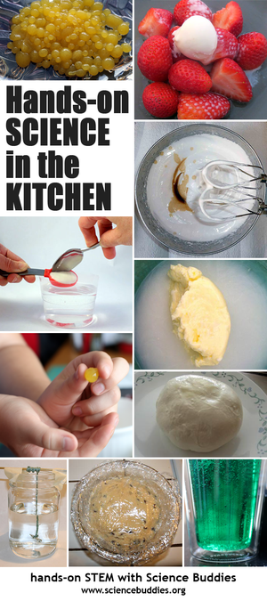 Kitchen Science Roundup! / STEM projects and activities