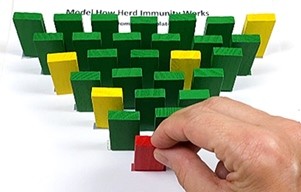 28 dominoes (23 green, 4 yellow, 1 red)) set up in a triangle formation. A red domino is at its tip.