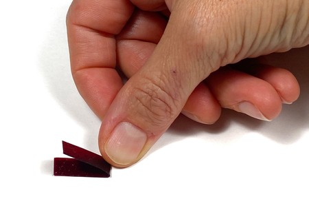 A hand folds a kombucha leather sample strip in half. 