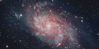 APOD: 2026 September 18 – Messier 33: The Triangulum Galaxy