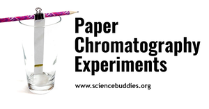 Paper Chromatography setup