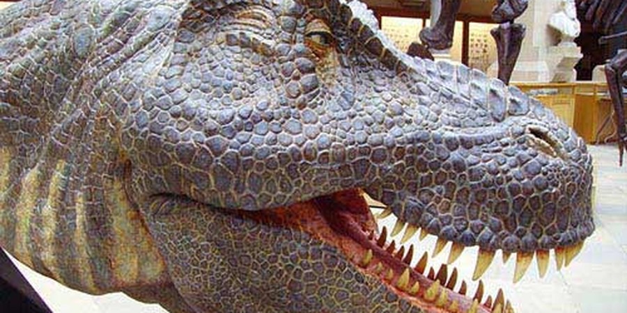 Explore Evolution Science Projects