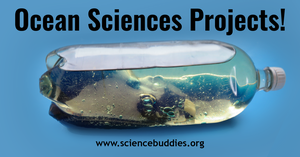 Explore ocean sciences with science projects, lessons, and experiments, including looking at wave formation in a bottle