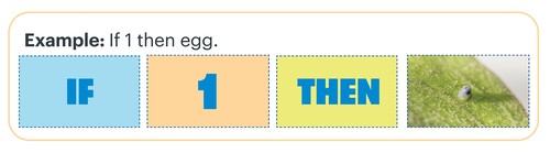 Example If 1 then egg. Shows four cards in order If, 1, Then, egg image.  