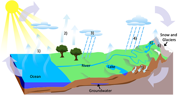 water cycle unlabeled diagram