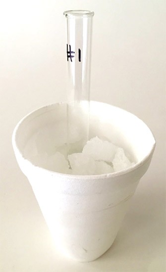 Place the test tube in the ice salt mixture
