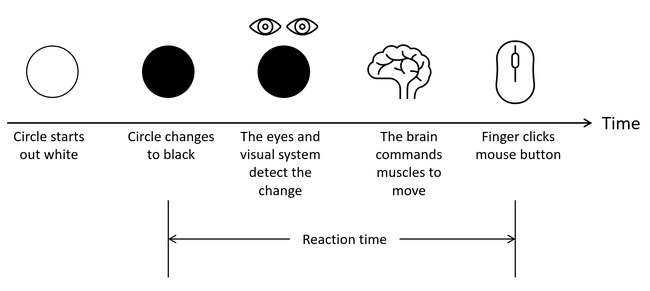a timeline showing reaction time. 