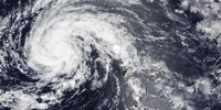 Lala Batters Hawaii