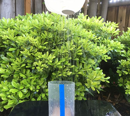 A homemade watering can pours water above a plastic container