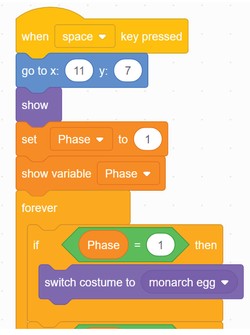 Scratch blocks from the beginning of the program.     