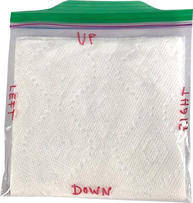 Folder paper towel placed in a zip-top bag