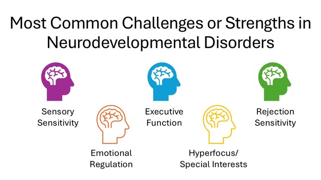 Common challenges and strengths in neurodevelopmental disorders.