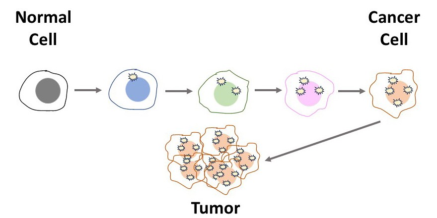 cancer disease modeling progression