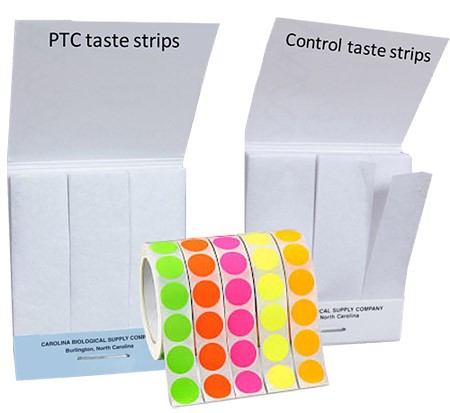 Two booklets of paper tasting strips next to a roll of colored sticker dots