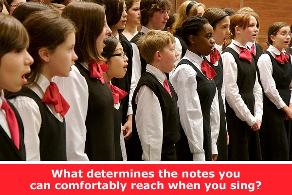 Explore the science of vocal ranges / Hand-on STEM experiment