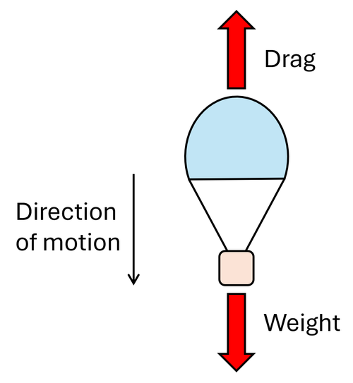 Diagram of a falling parachute with weight pointing down and drag pointing up