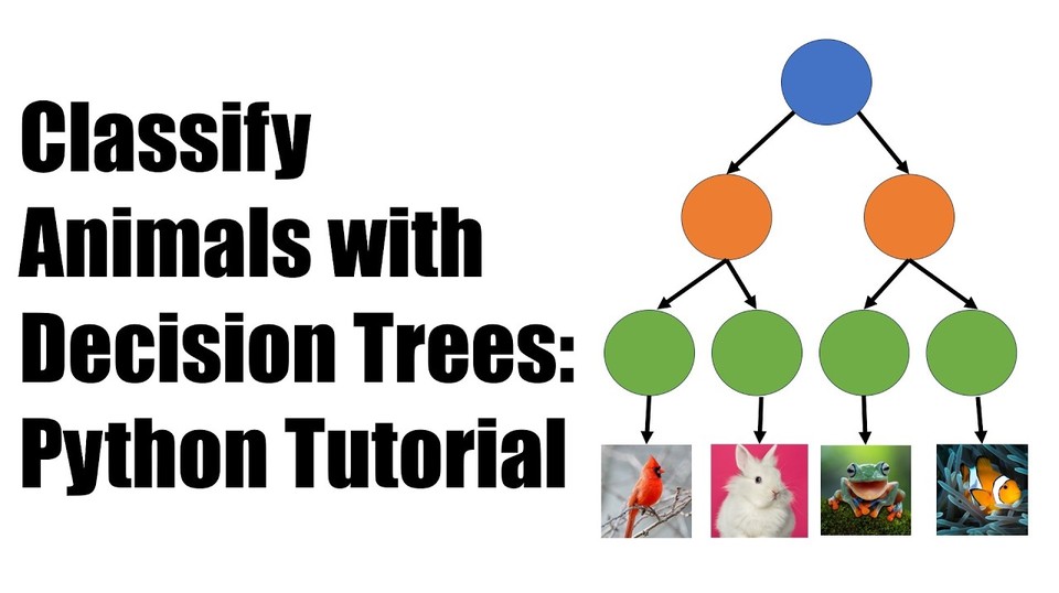 Classify Animals with Machine Learning | Science Project