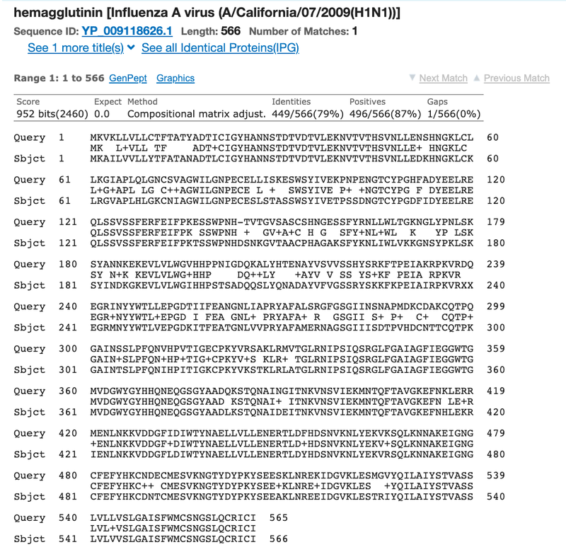 Screenshot of the results page of the 'Alignment' tab in the BLAST tool on the ncbi.nlm.nih.gov website shows the detailed alignment of the query and subject sequences. Two rows of letters on top of each other represent the two sequences. A vertical line between the two seuences show where bases/letters match. The bases/letters are not connected when there is a mismatch between the sequences.
