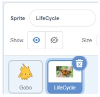 Life cycle sprite in scratch with the life cycle button highlighted.    