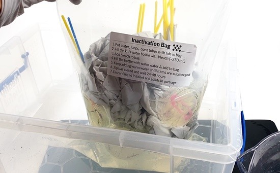 A plastic bag full of gloves, petri dishes, inoculation loops and other contaminated trash inside a larger container. The bag is filled with a mixture of bleach and water.