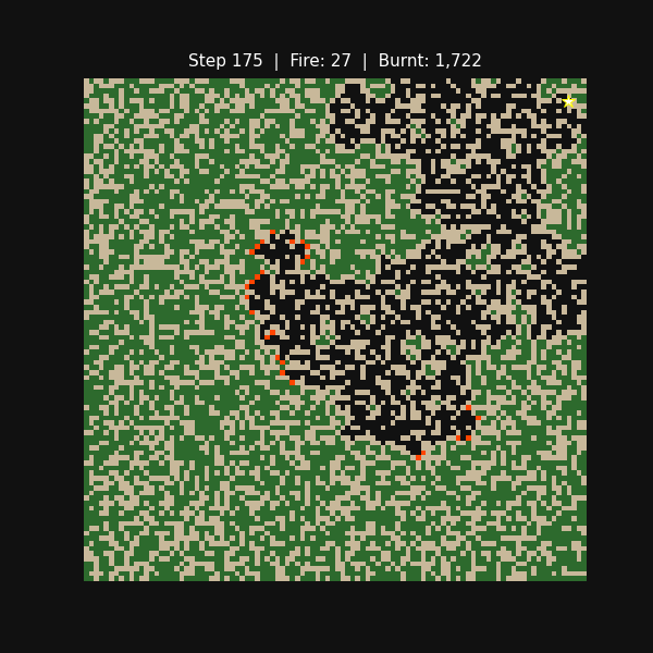 Drossel-Schawbl wildfire simulation