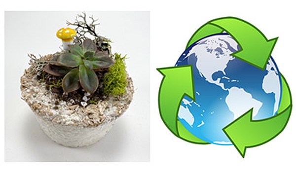 A mycelium plant container next to an ecology symbol.