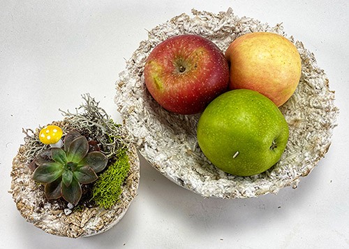 A small flower pot and a fruit bowl made from mushroom material